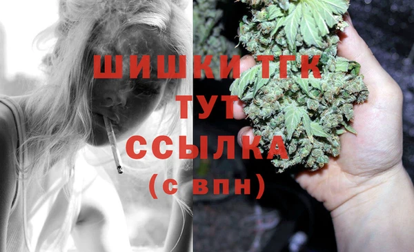 ешки Заводоуковск