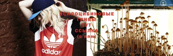 круглые Нягань