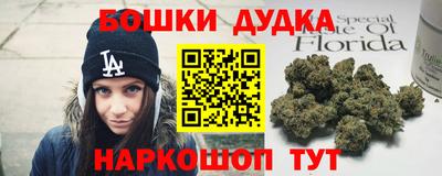 дурь Кингисепп