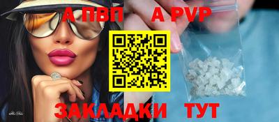 дурь Кингисепп
