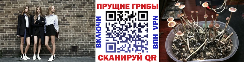 купить наркоту  Реж  Галлюциногенные грибы мухоморы 