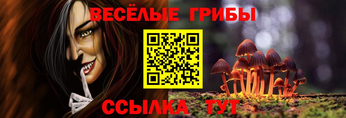 Галлюциногенные грибы Psilocybe  Вход с VPN  Псилоцибиновые грибы прущие грибы  Реж 